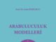 ARABULUCULUK MODELLERİ